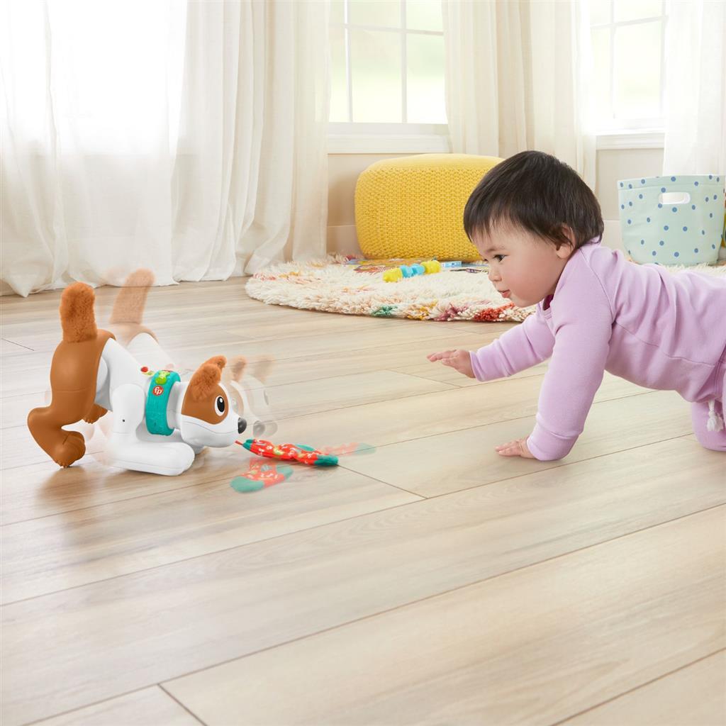 Fisher Price Crawl With Me Welpe + Licht und Ton