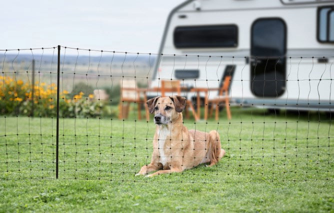 Ako Products Campingnetz 20 Meter 80 cm grüner Einzelstift
