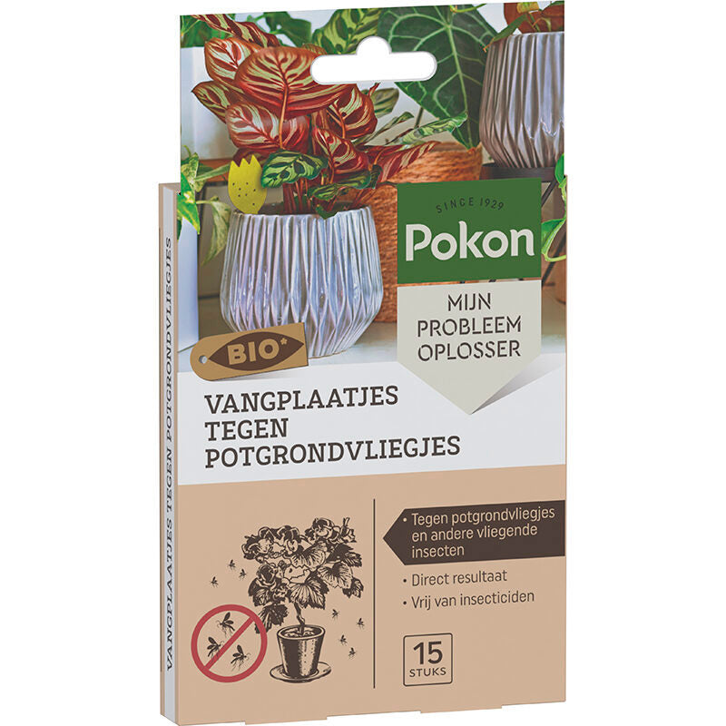 Pokon Bio-Klebefallen gegen Blumenerdefliegen 15 Stk
