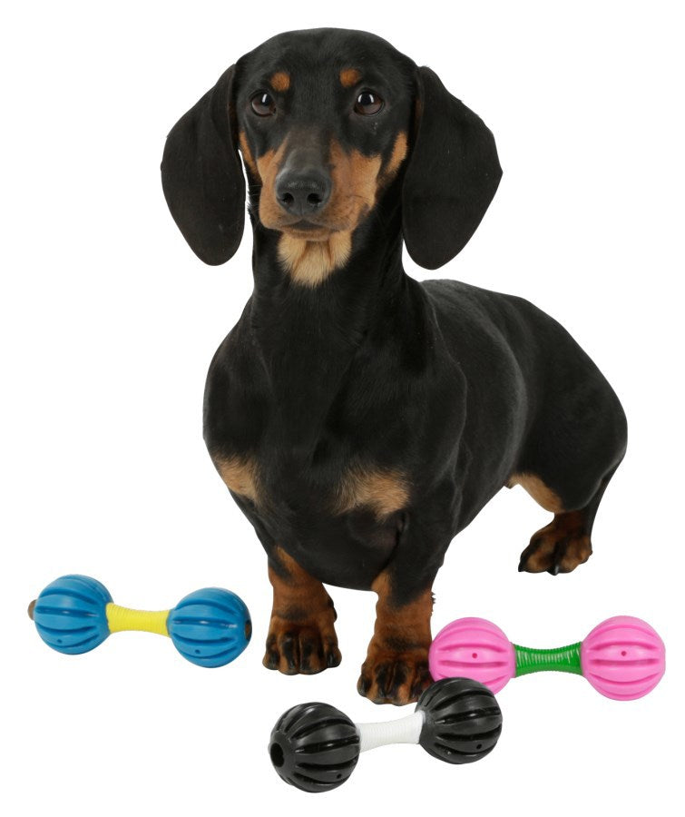 Produkte Hundespielzeug Hantel