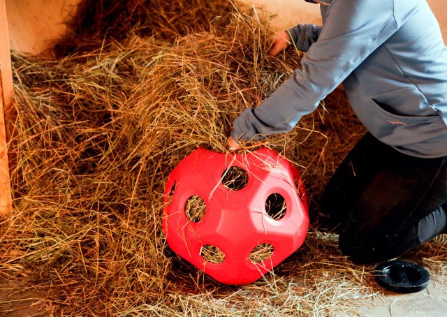 Produkte Lebensmittel Spielball rot