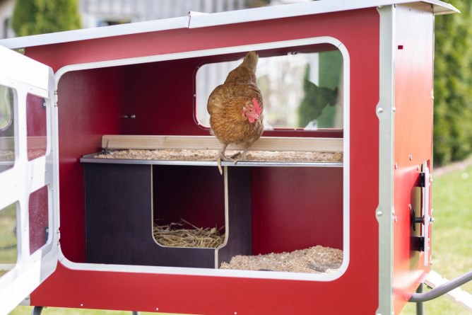 Abi mobilecoop Hühnerstall aus Holz
