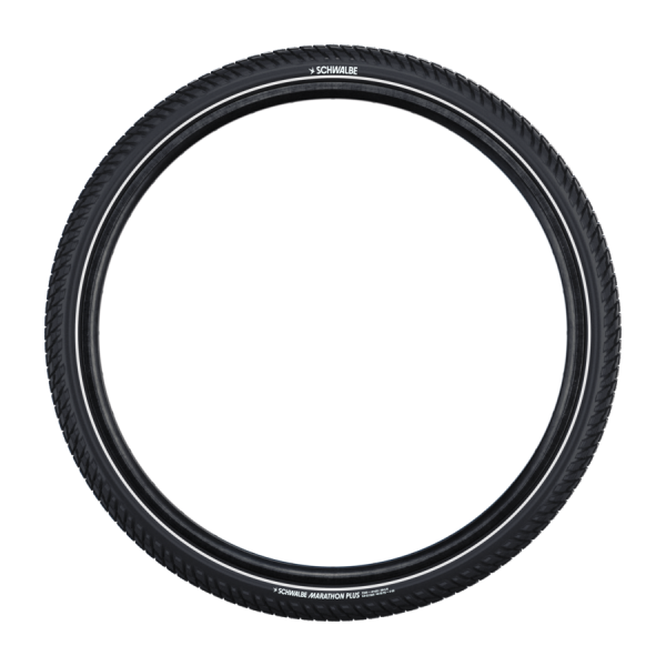 Schwalbe