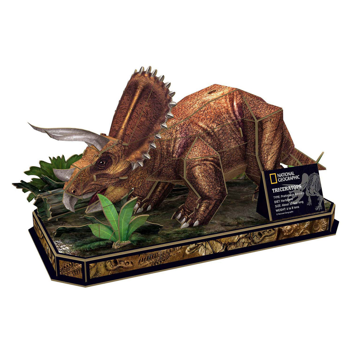 Kubisches lustiges 3D-Puzzle National Geographic Triceratops