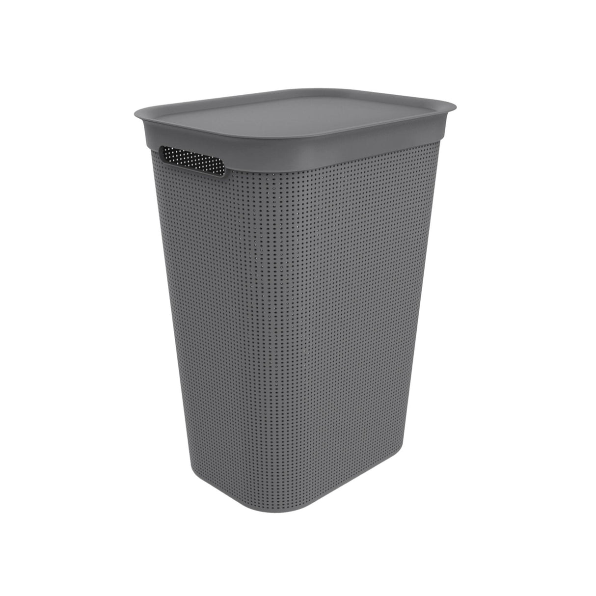 Rotho Wäschesammler Brisen 50l Anthrazit
