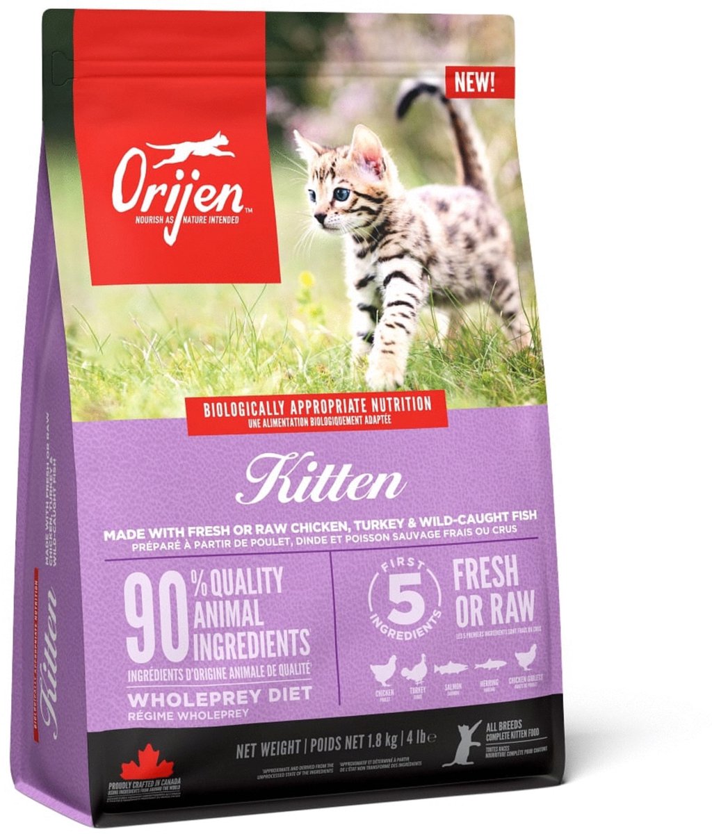 Orijen Kitten