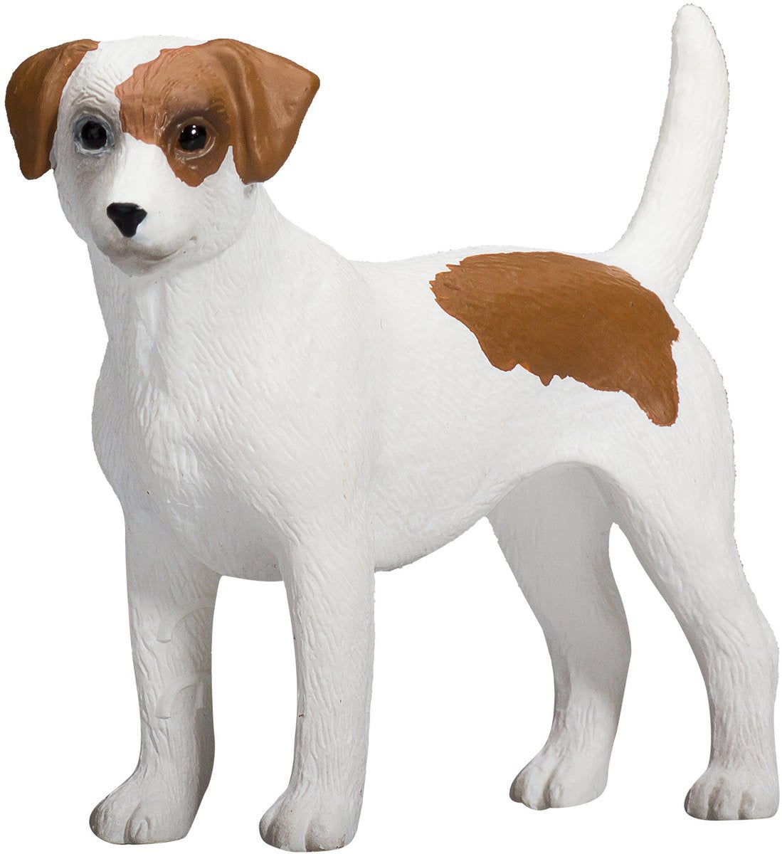Mojo Ackerland Jack Russell Terrier – 387286