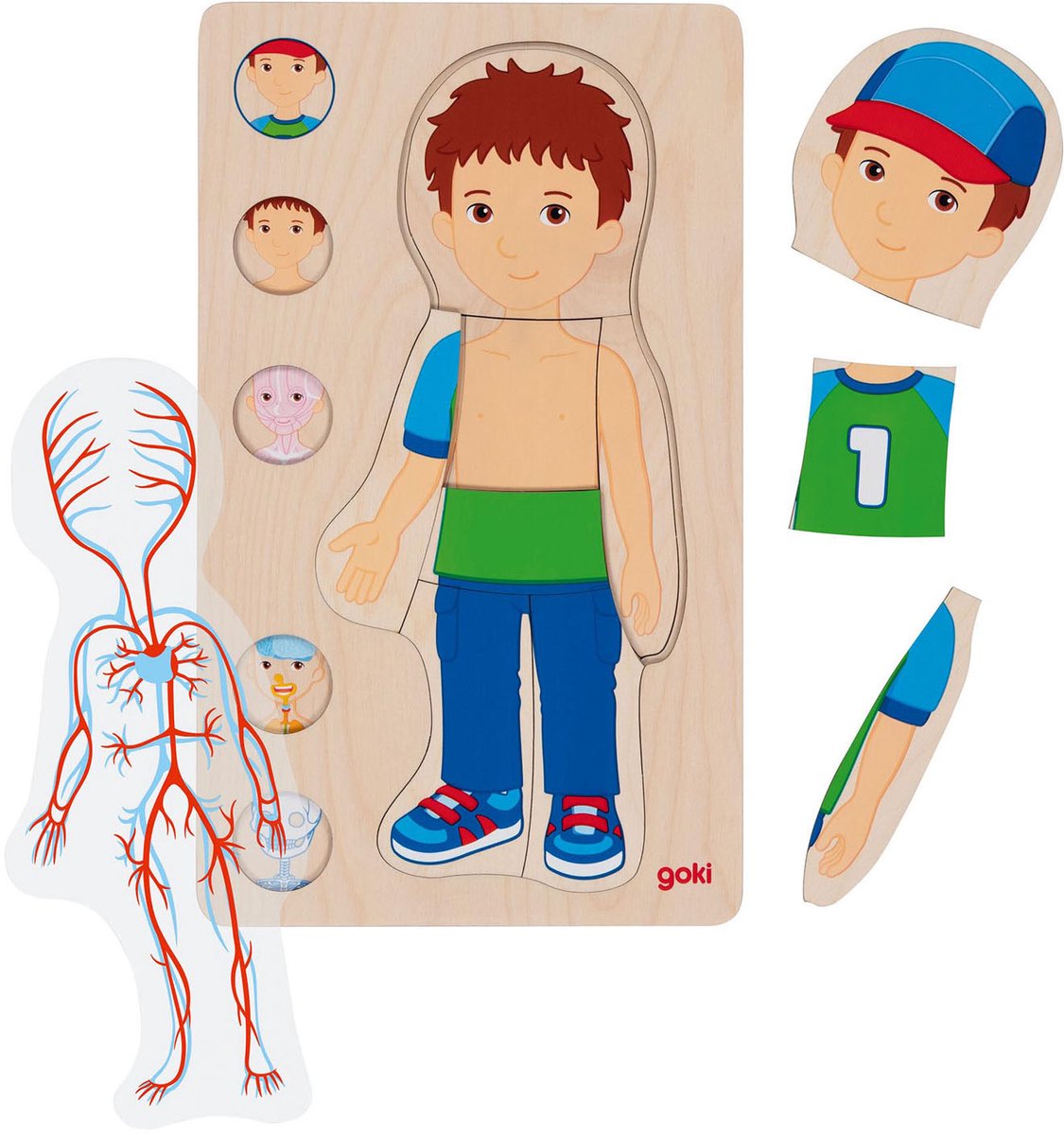 Goki Holzschicht Puzzle Human Körper Junge, 29.
