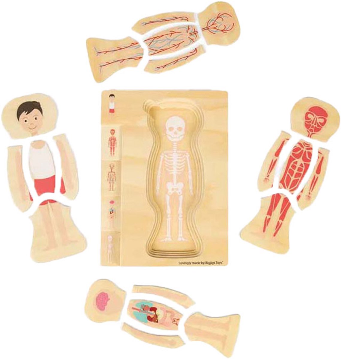 Bigjigs Anatomie-Puzzle aus Holz – Junge, 26 Teile.