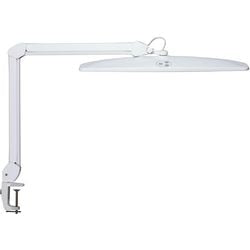 Schreibtischlampe Maul 8205602 Maulexplore weiß