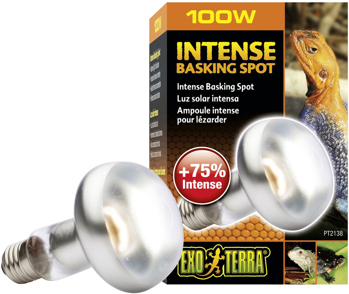 Exo Terra Basking – Spotlampe – Terrarienbeleuchtung – 100 W