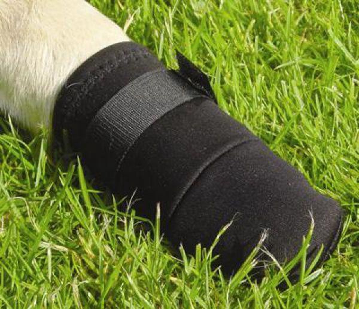 Beeztees hond beschermingsschoenen xxl - hondensokken - pootbeschermer - zwart - 2st - 21x10x10 cm