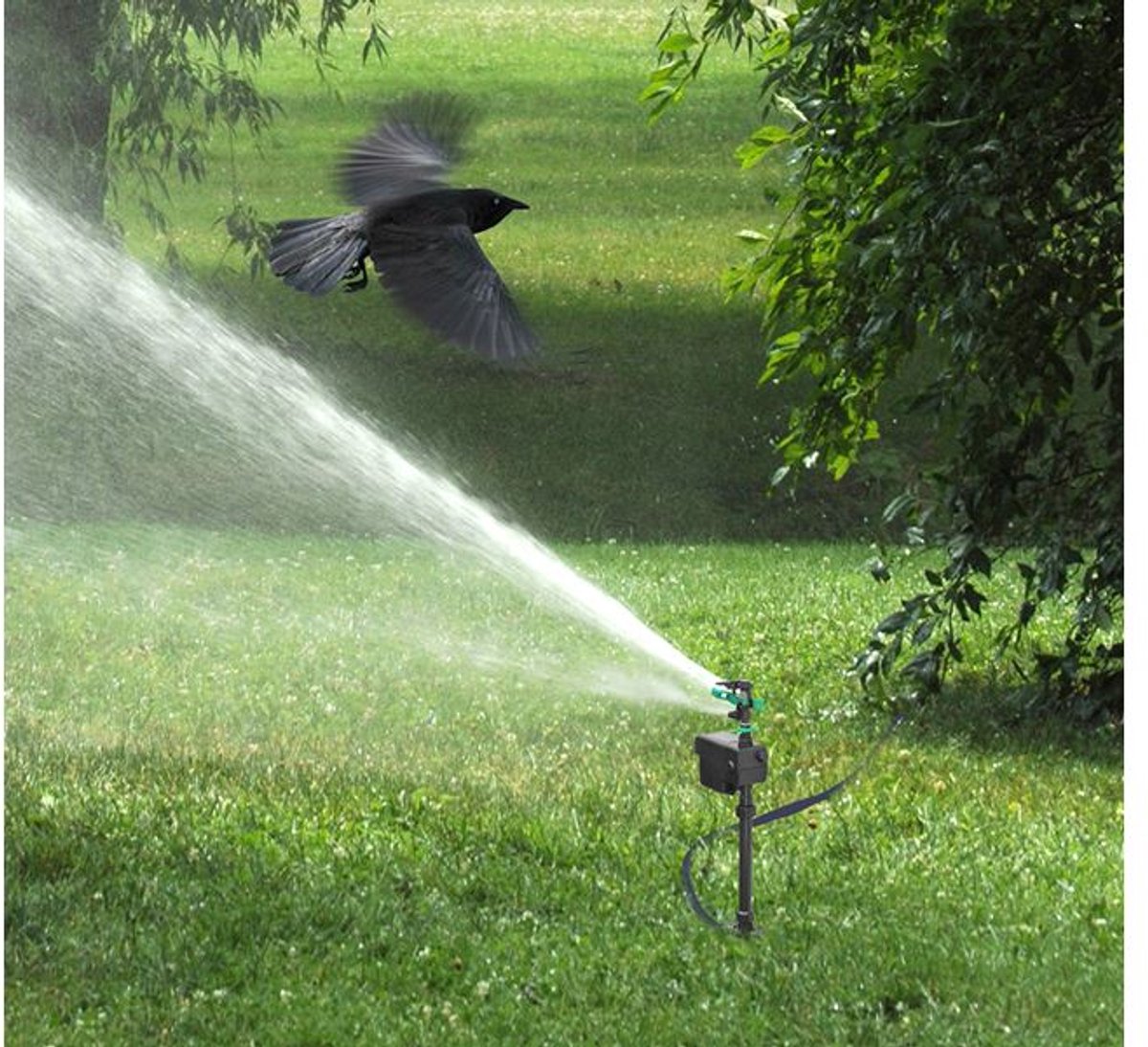 Splash - Wassersprinkler - Marienkäfer - 16 x 17 cm