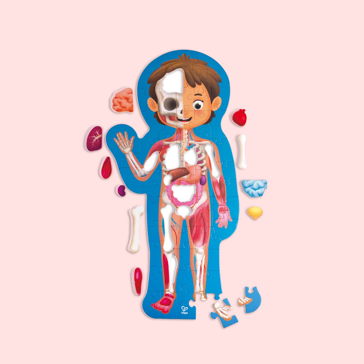 Hape Human Body Puzzle – 61-teiliges Anatomie-Puzzle mit 3D-Organen und Poster, ab 3 Jahren