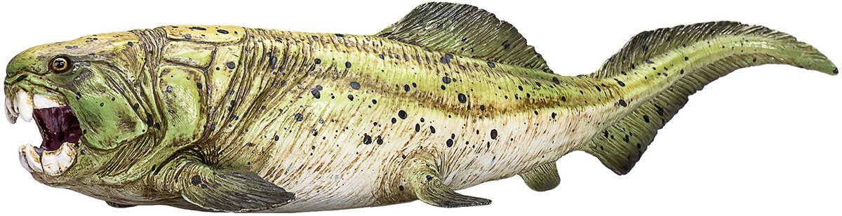 Mojo-Vorgeschichte dunkleosteus - 387374
