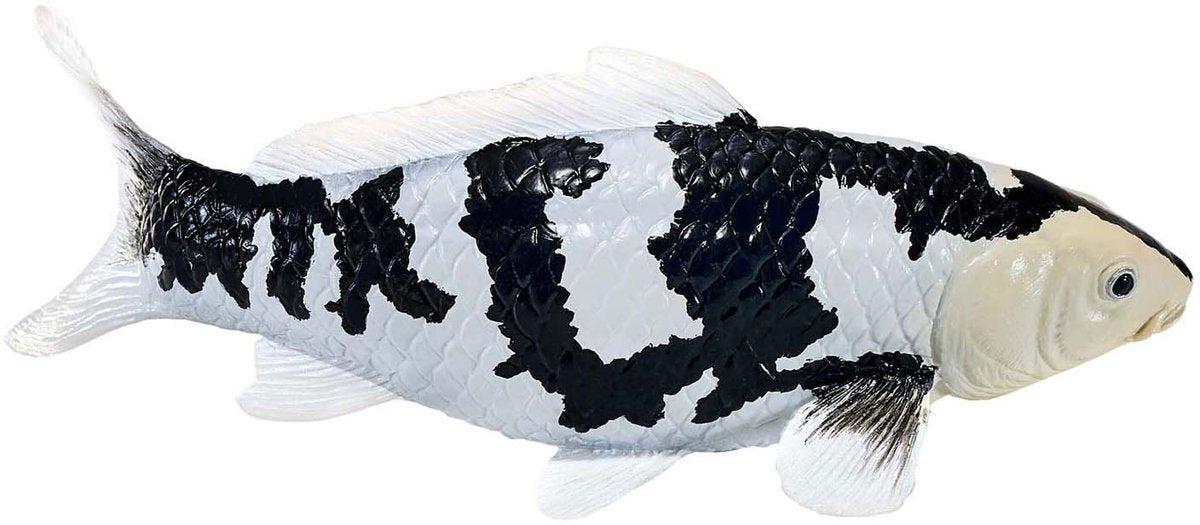 Mojo Sealife Koi-Karpfen – Shiro Utsuri Koi – 381102