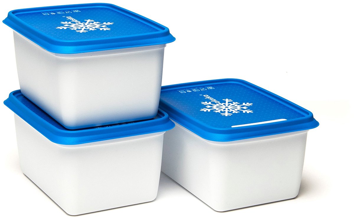 Alaska Gefrierbox 1000 ml Set à 3 Stück