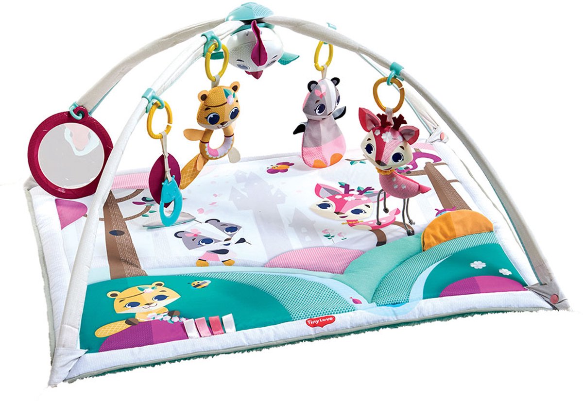 Tiny Love Baby Gym Gymini Deluxe – Prinzessinnengeschichten – von der Geburt bis zum 1. Jahr
