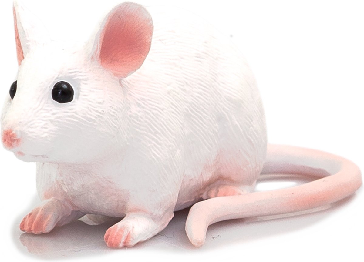 Mojo Ackerlandmaus - 387235
