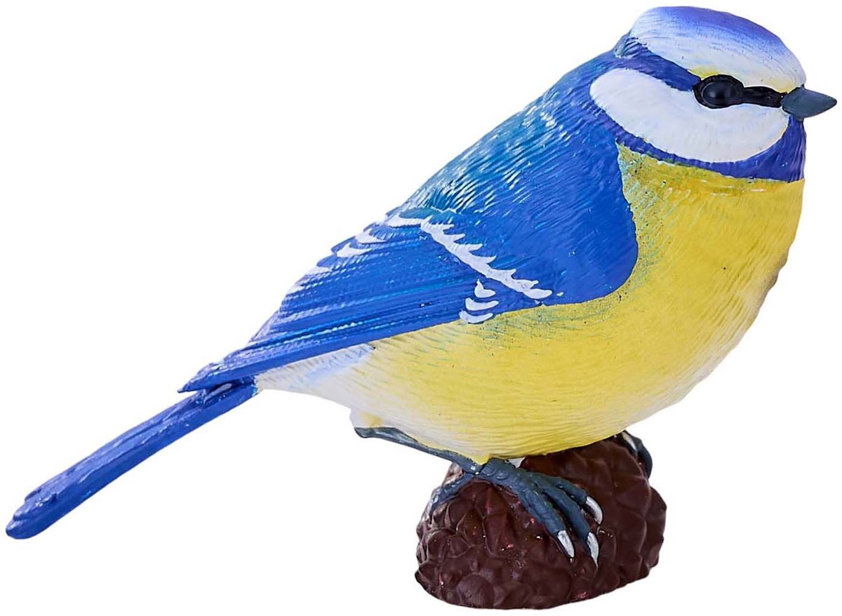 Mojo Ackerland Blaumeise - 381115