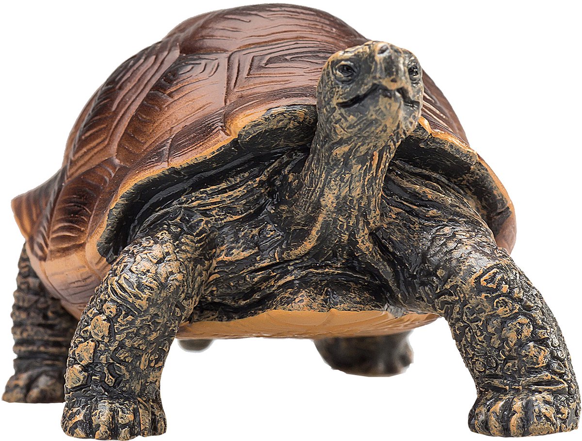 Mojo Wildlife Riesenschildkröte – 387259
