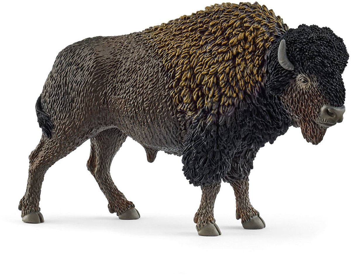 Schleich 14879 Bison | 5 Stück