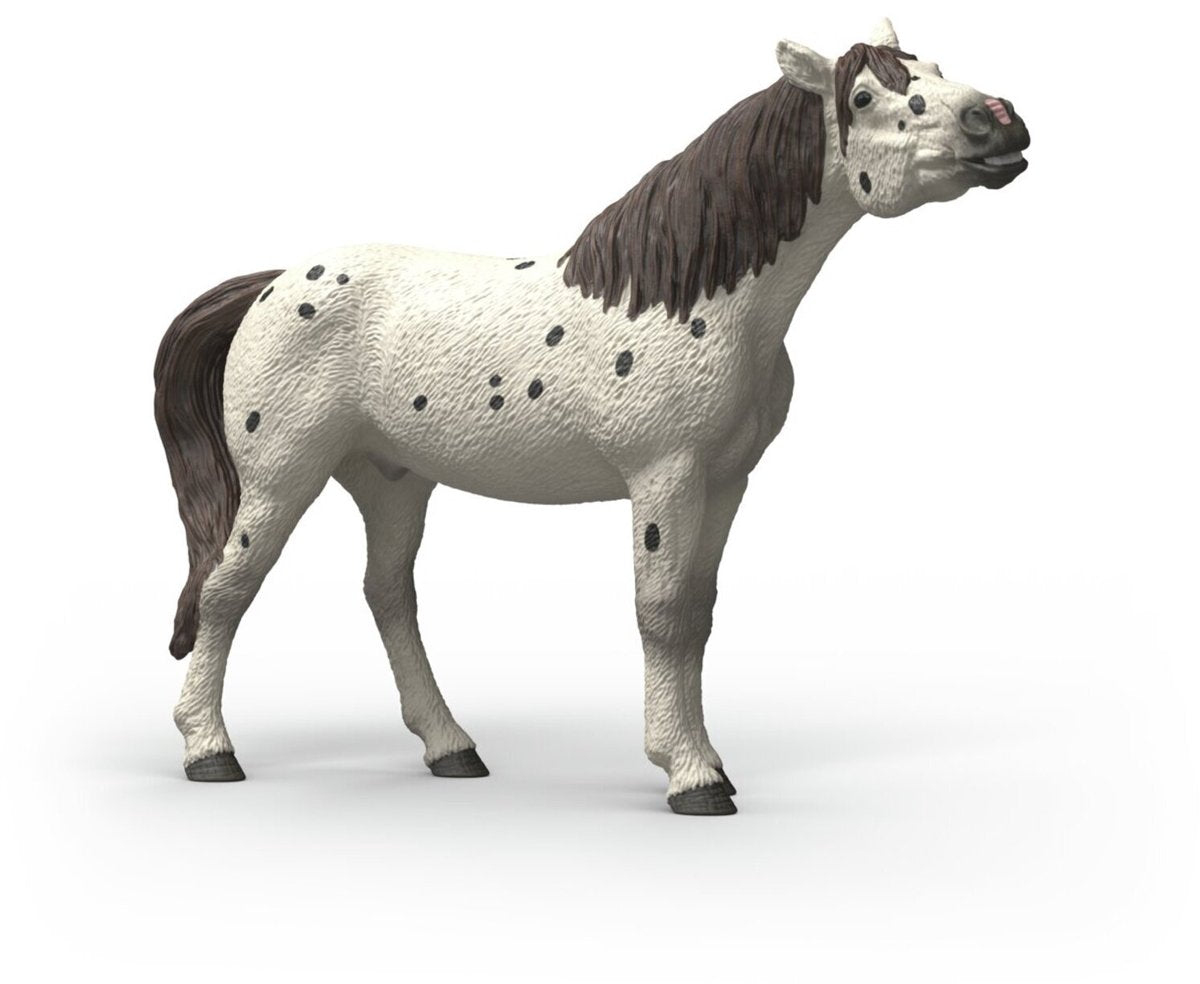 Schleich Horse Club Knabstrupper Wallach 14916