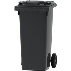 Afvalcontainer 176765 unbranded 2wh 120l
