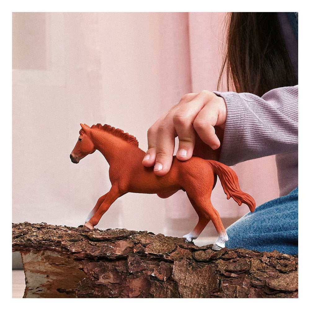 Schleich Horse Club Englischer Vollbluthengst 14915