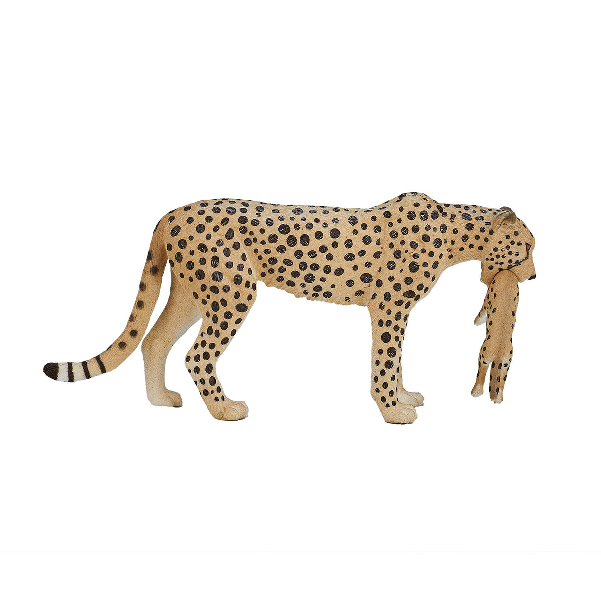 Mojo Wildlife Gepardenweibchen mit Jungem – 387167