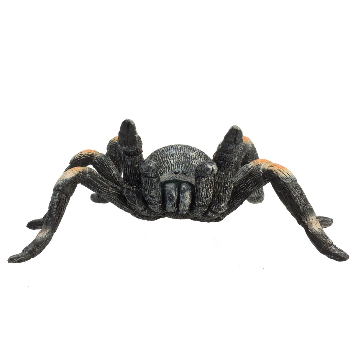 Mojo Wildlife Rote Vogelspinne – 387213