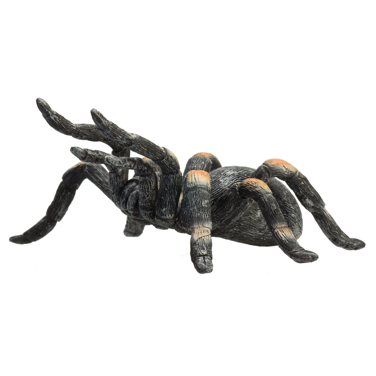 Mojo Wildlife Rote Vogelspinne – 387213