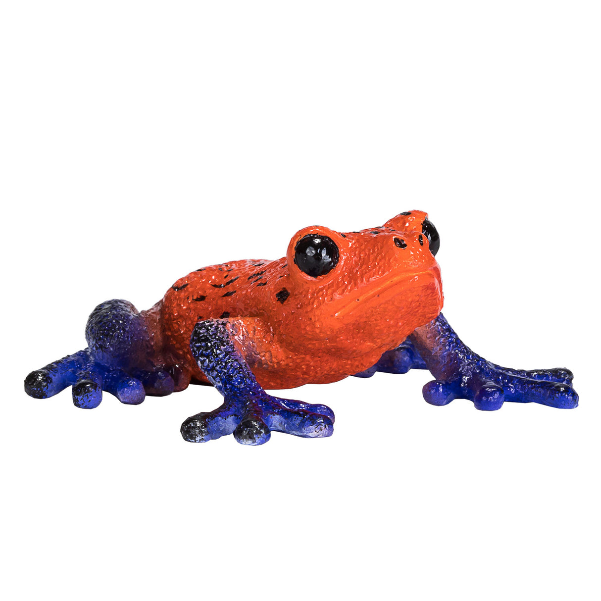 Mojo Wildlife Pfeilgift-Laubfrosch – 381016