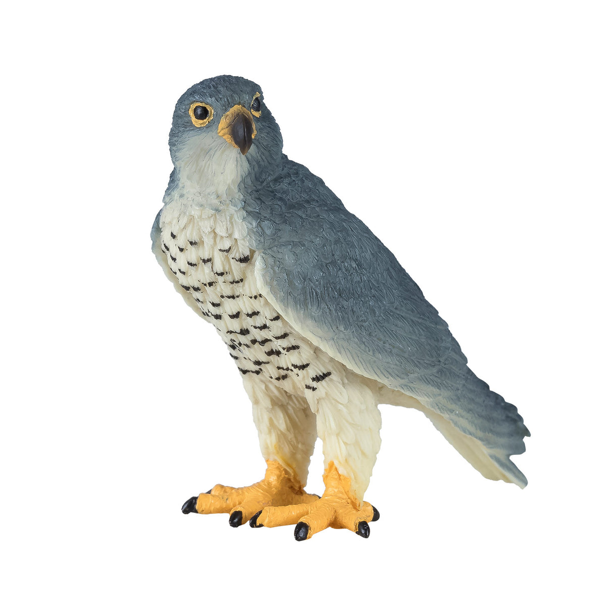 Mojo Wildlife Wanderfalke – 381056