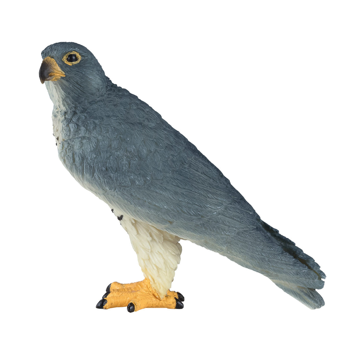 Mojo Wildlife Wanderfalke – 381056