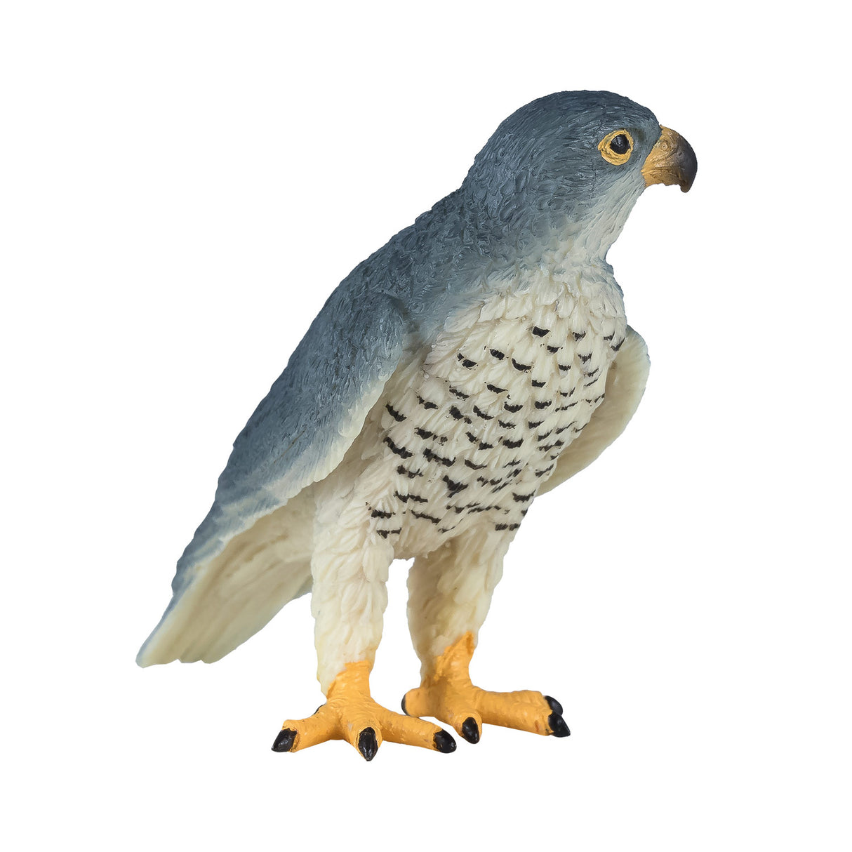 Mojo Wildlife Wanderfalke – 381056