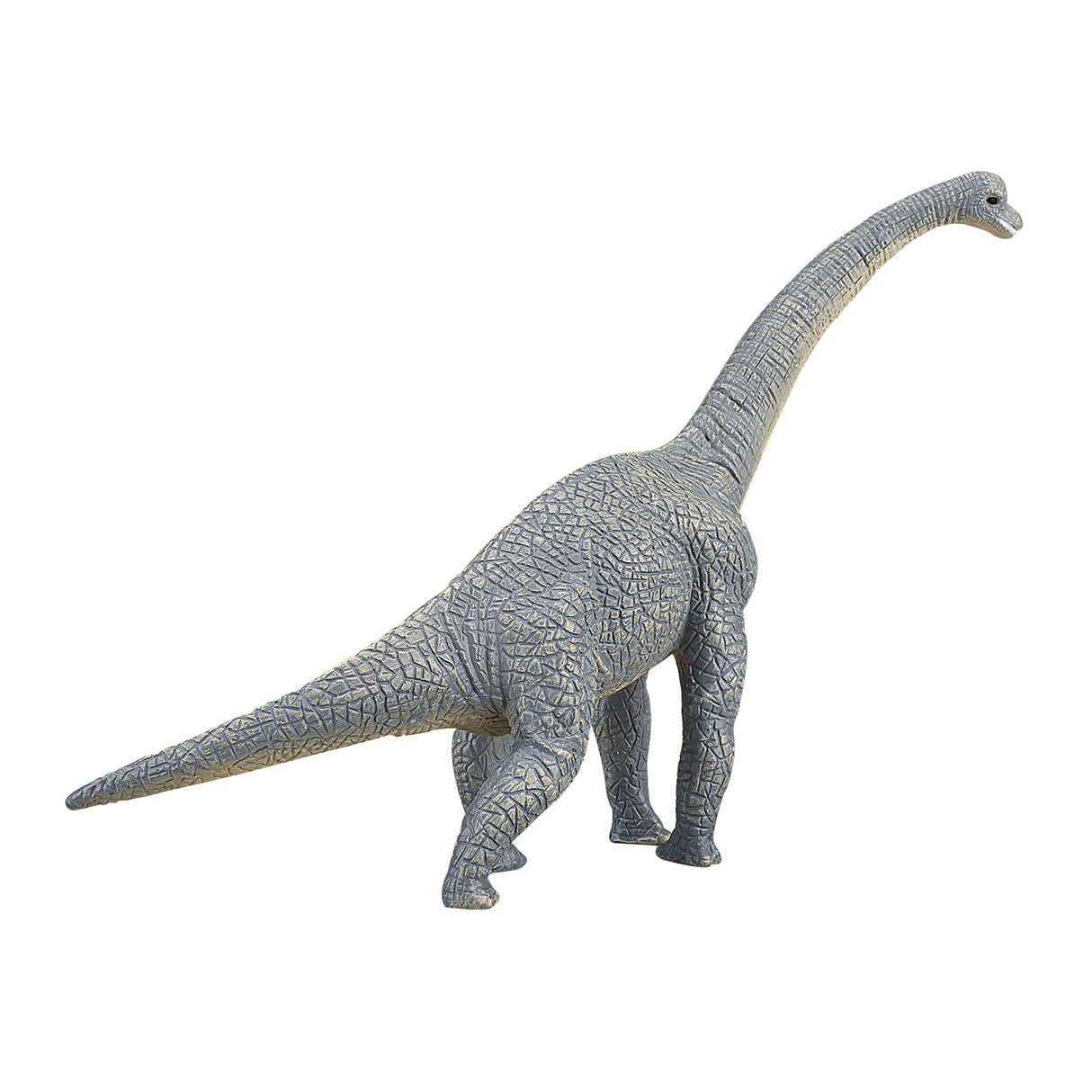 Mojo prähistorischer Brachiosaurus – 387044