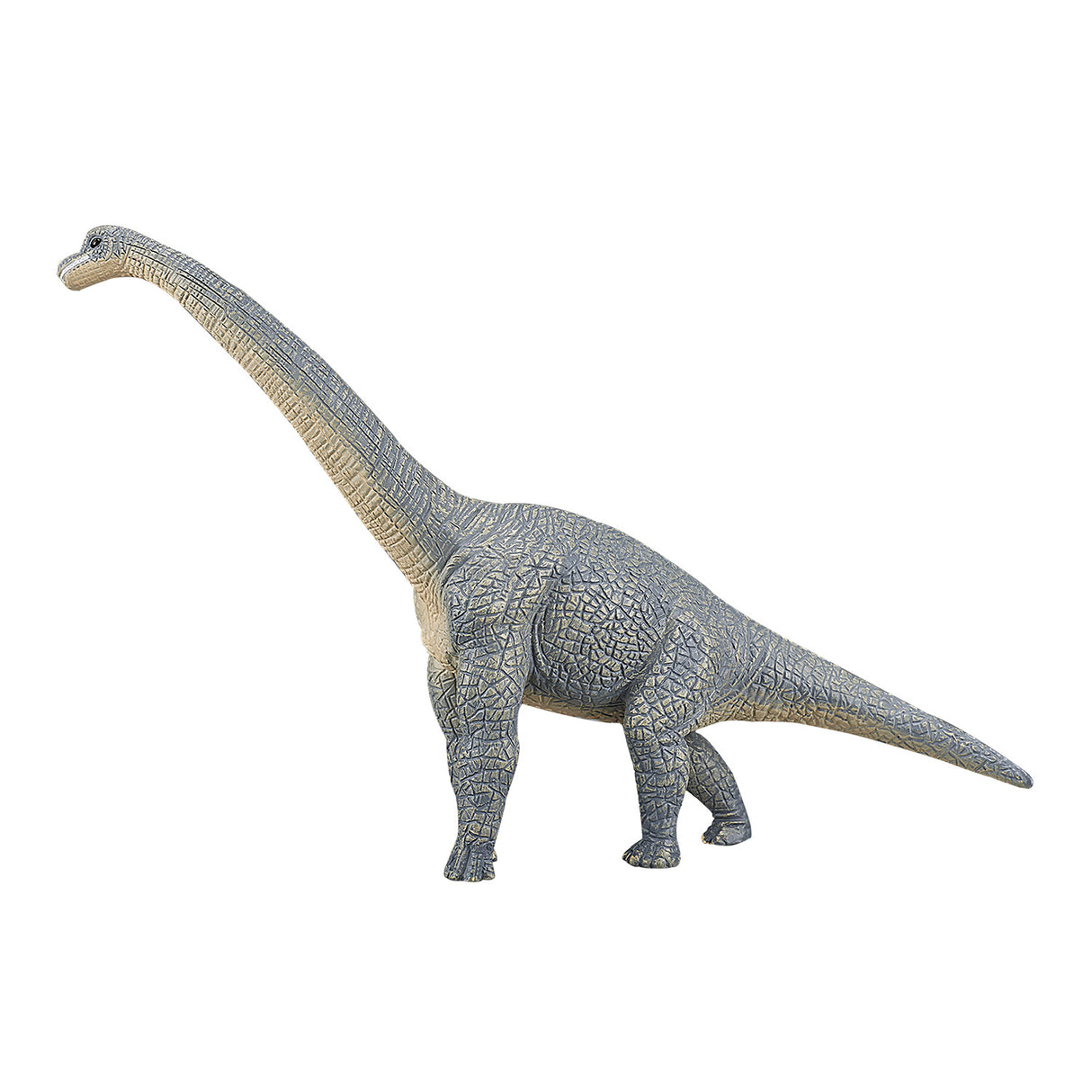 Mojo prähistorischer Brachiosaurus – 387044