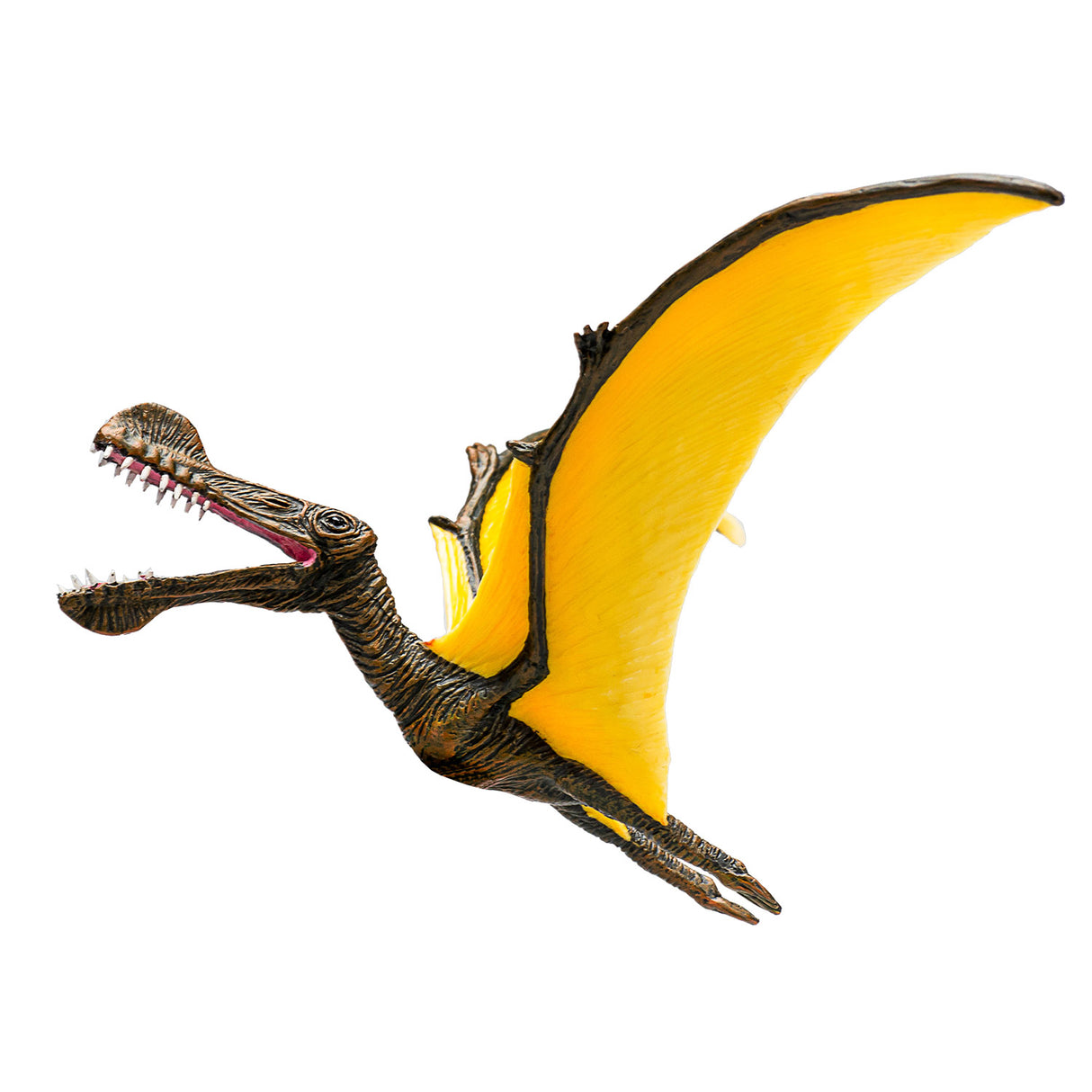 Mojo-Vorgeschichte Tropeognathus - 387375