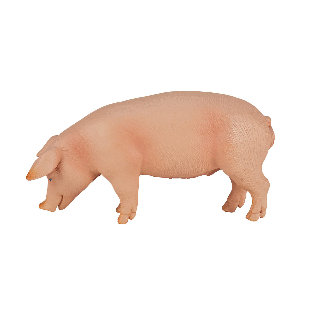 Mojo Ackerlandschwein Eber – 387080