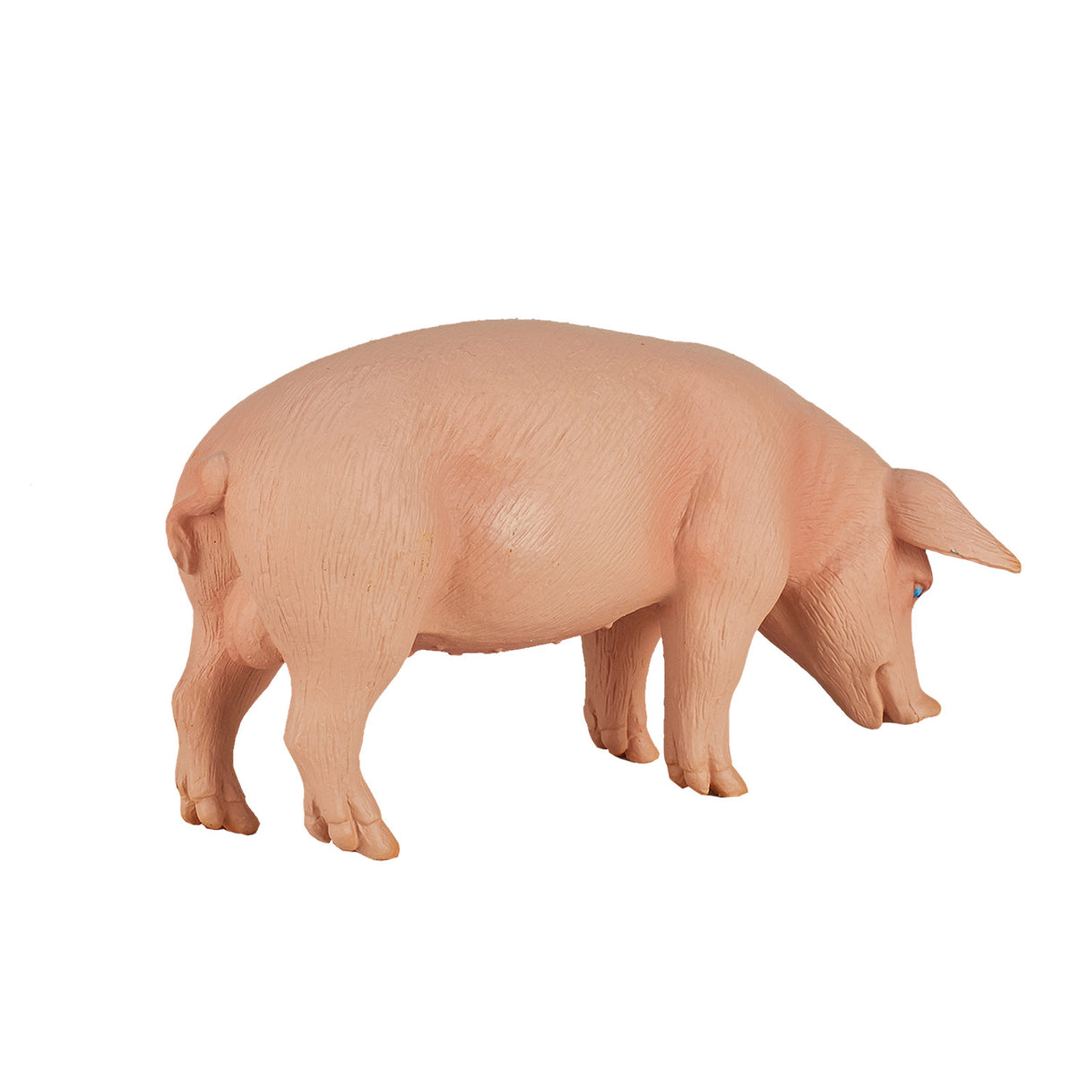 Mojo Ackerlandschwein Eber – 387080