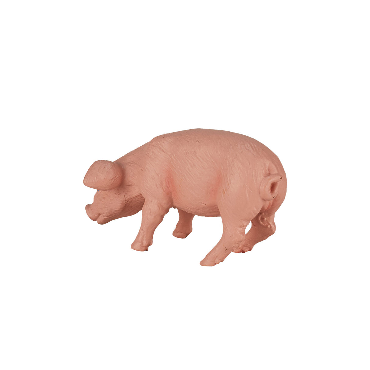 Mojo Ackerland fressendes Ferkel – 387056
