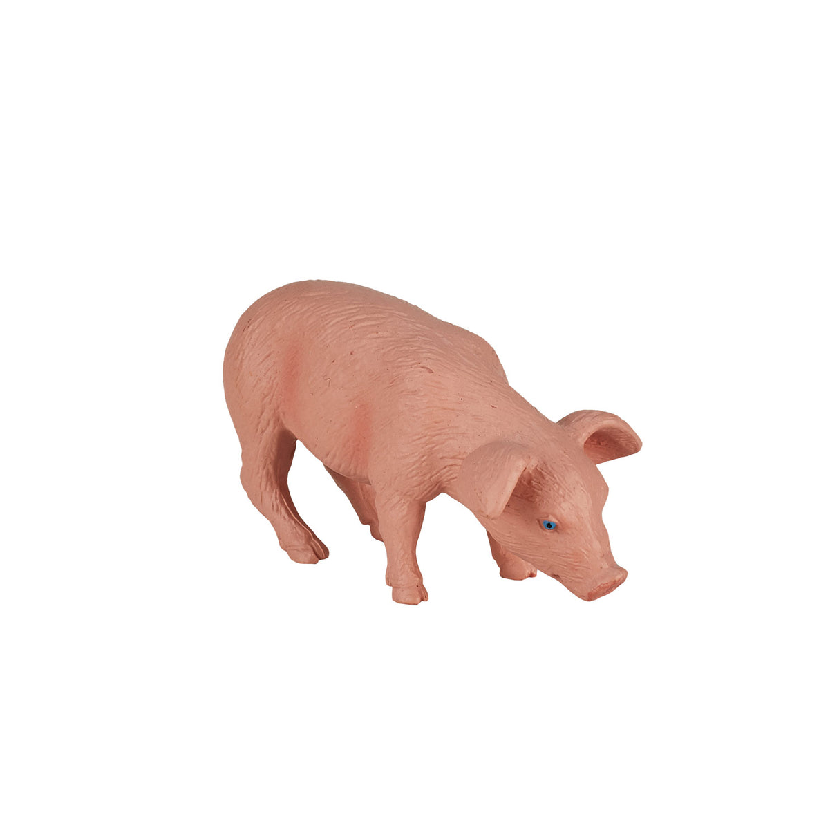 Mojo Ackerland fressendes Ferkel – 387056