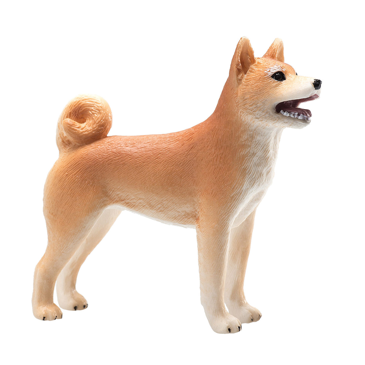 Mojo Ackerland Shiba Inu – 387140
