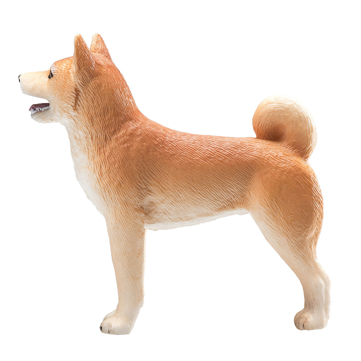 Mojo Ackerland Shiba Inu – 387140