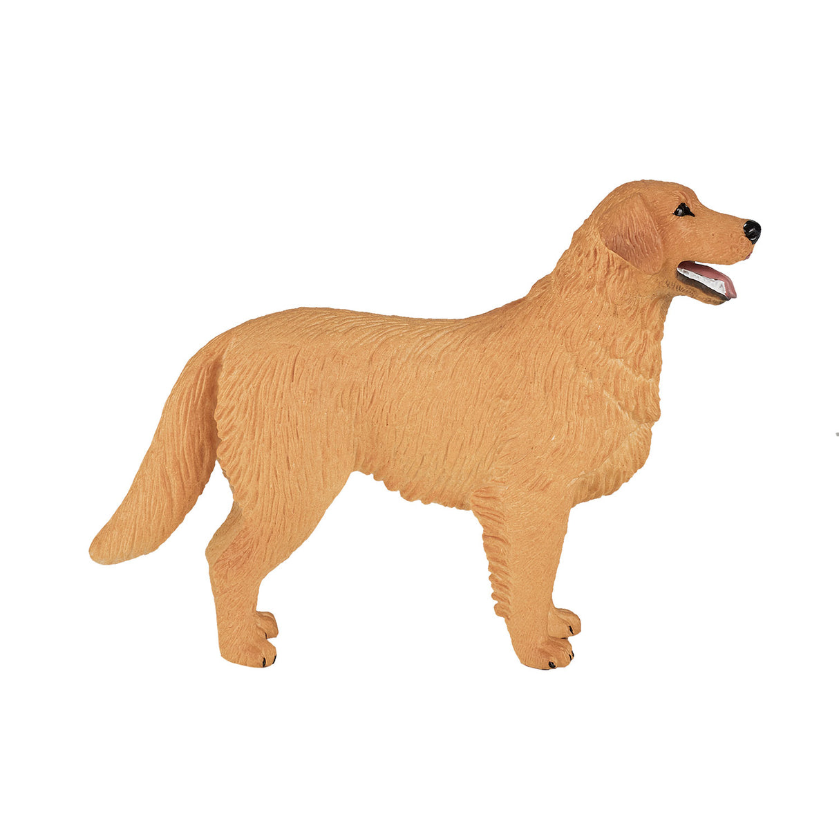 Mojo Farmland Golden Retriever – 387198
