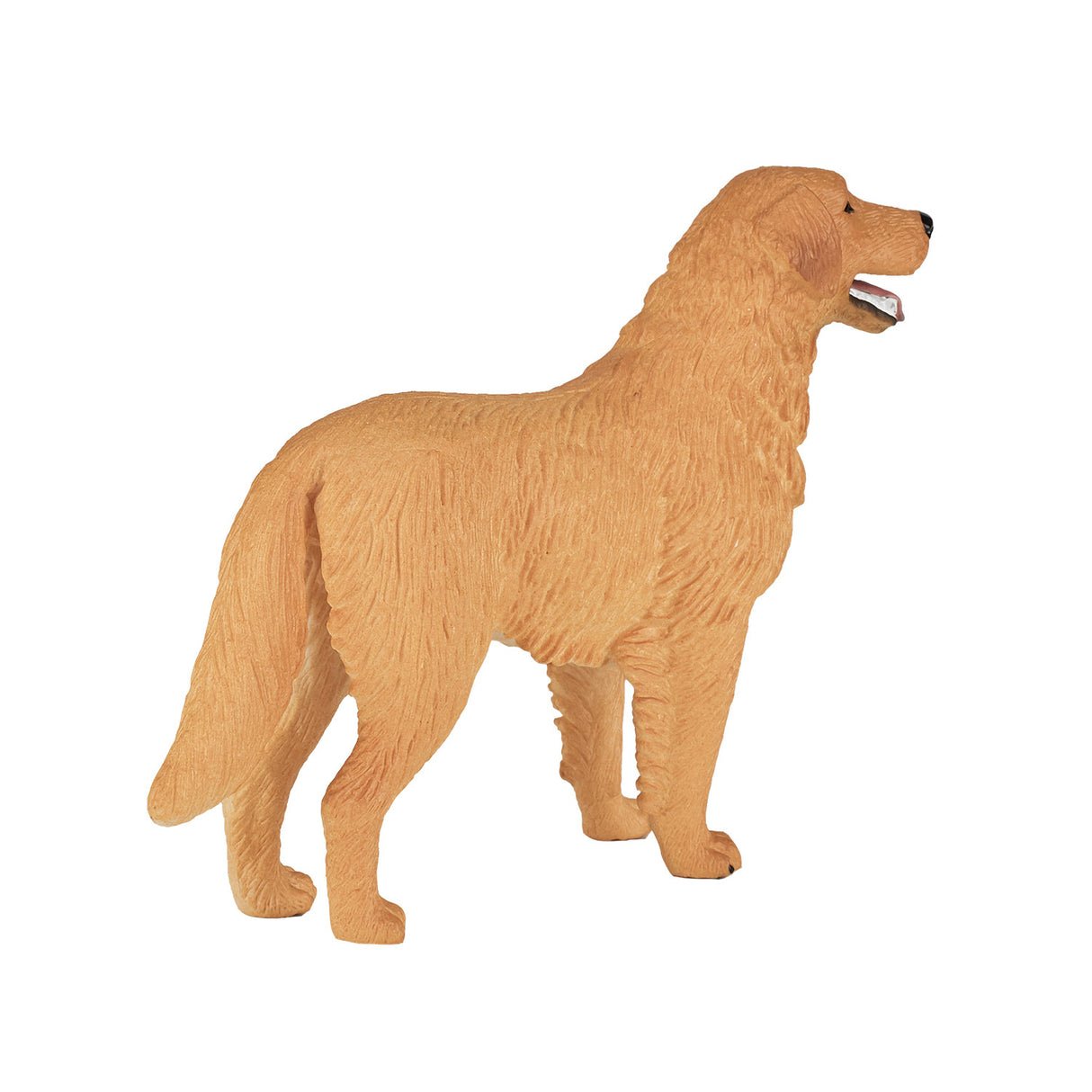 Mojo Farmland Golden Retriever – 387198