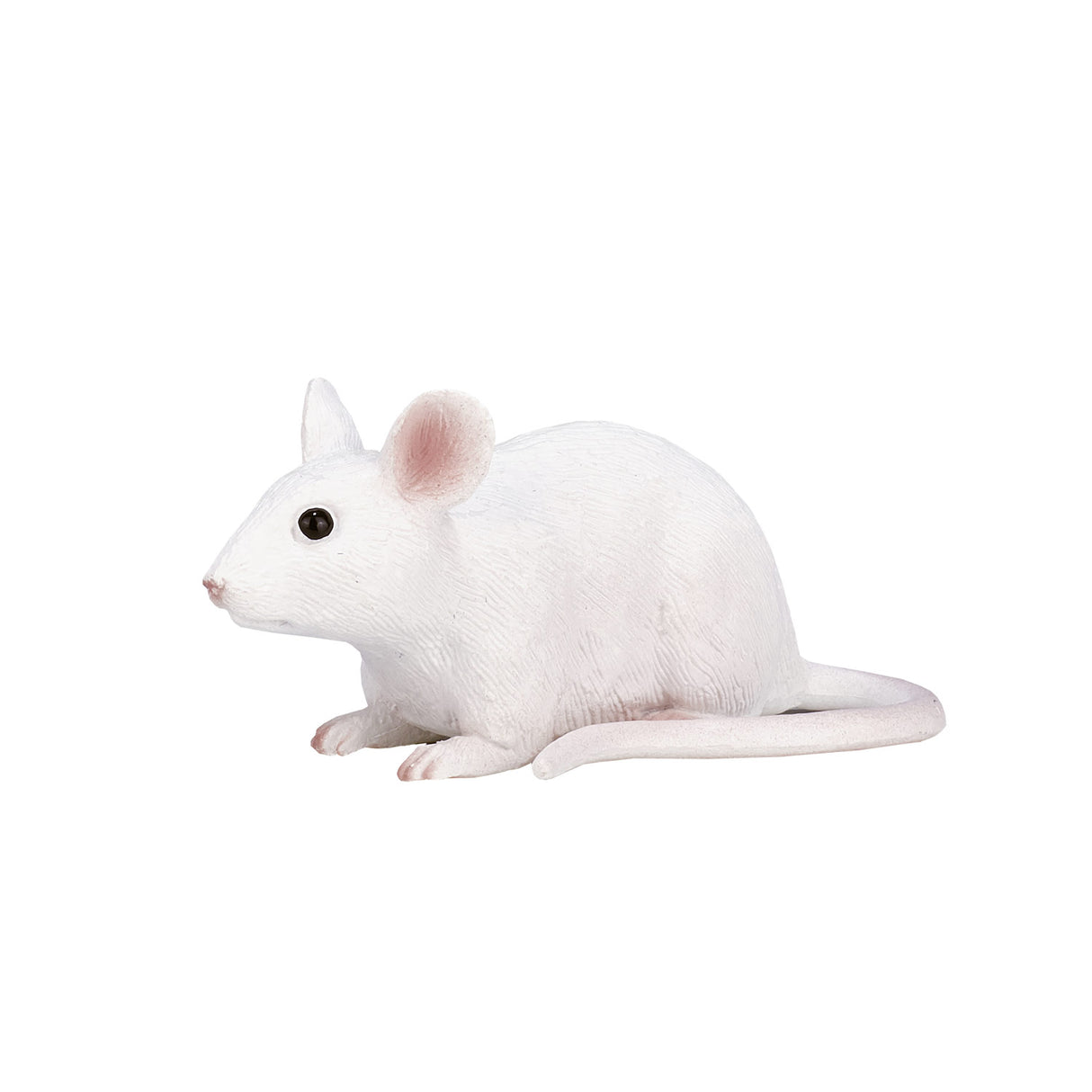 Mojo Ackerlandmaus - 387235