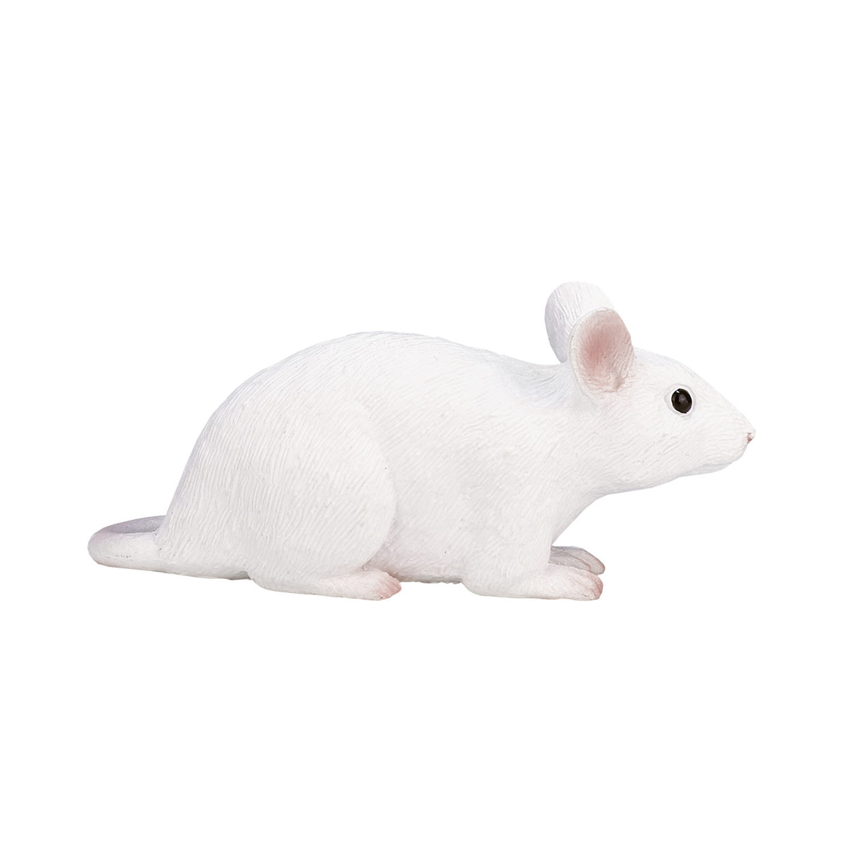 Mojo Ackerlandmaus - 387235