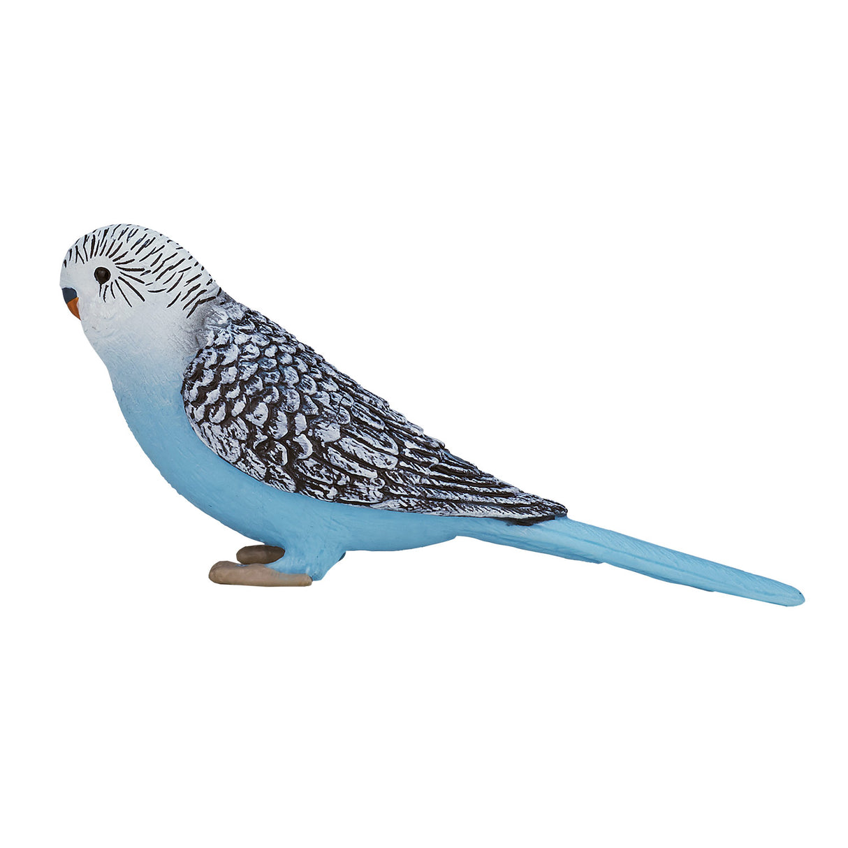 Mojo Ackerland Wellensittich blau - 387292
